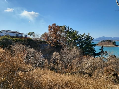 물건 사진 117