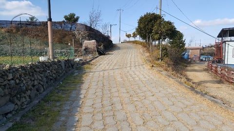 물건 사진 118