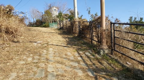 물건 사진 120