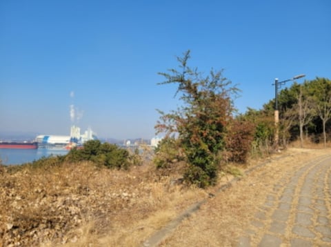 물건 사진 13