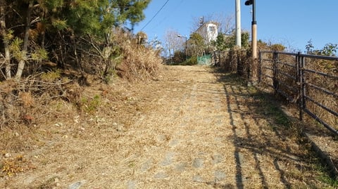 물건 사진 121