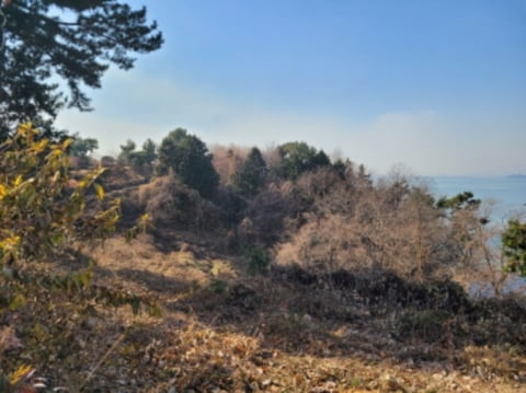 물건 사진 14