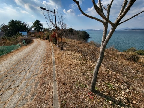 물건 사진 137