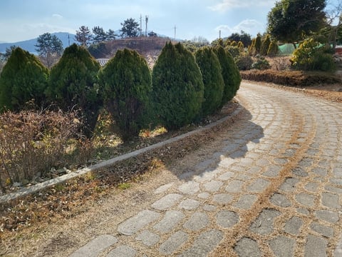 물건 사진 139