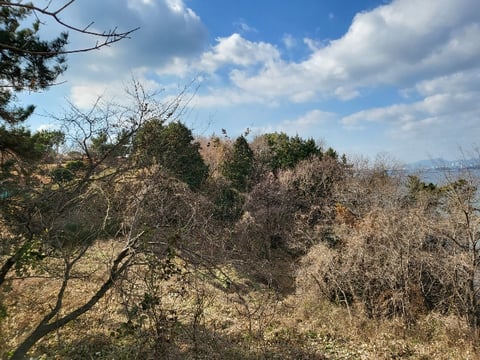 물건 사진 140
