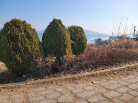 물건 사진 15