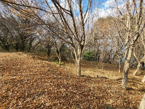 물건 사진 141
