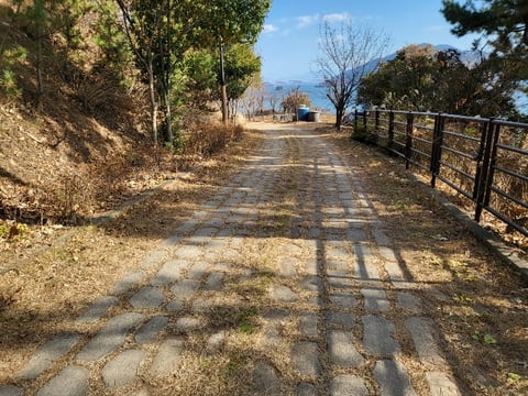 물건 사진 143