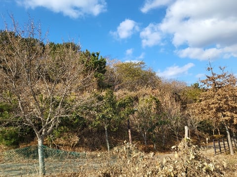 물건 사진 144
