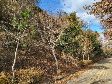 물건 사진 145