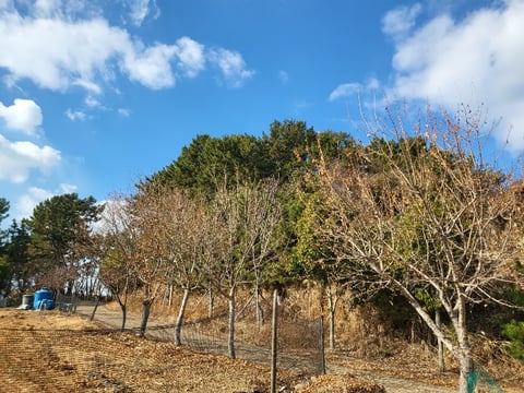 물건 사진 147