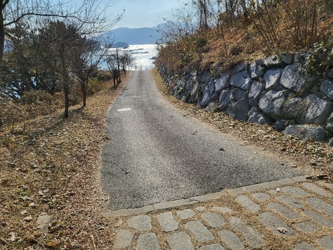 물건 사진 149
