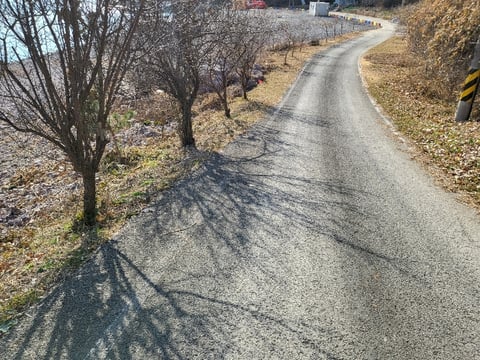 물건 사진 152