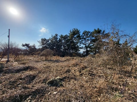 물건 사진 154