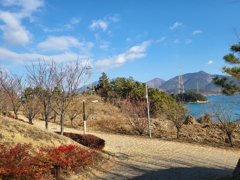 물건 사진 157
