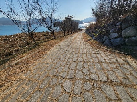 물건 사진 159