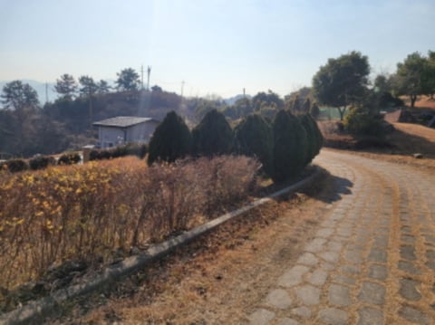 물건 사진 17