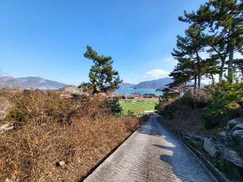 물건 사진 162