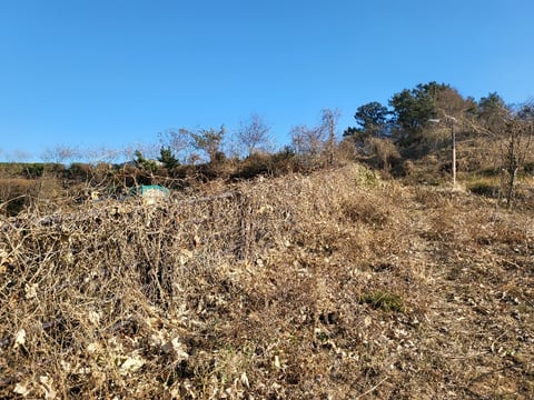 물건 사진 168