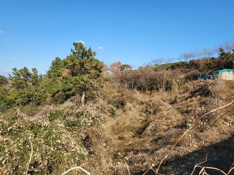 물건 사진 169
