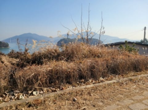 물건 사진 18