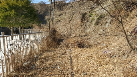 물건 사진 173
