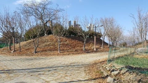 물건 사진 174