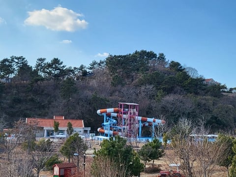 물건 사진 175