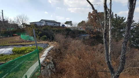 물건 사진 178