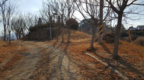 물건 사진 179