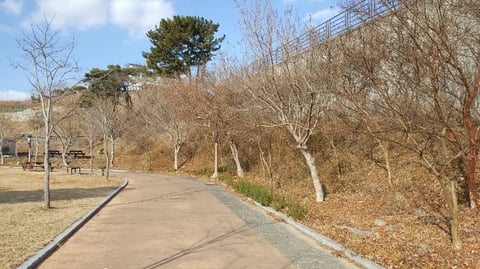 물건 사진 180