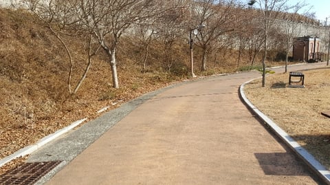 물건 사진 181