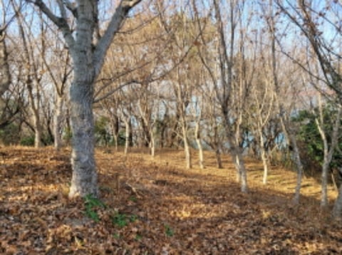 물건 사진 20
