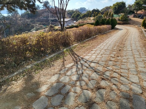 물건 사진 191