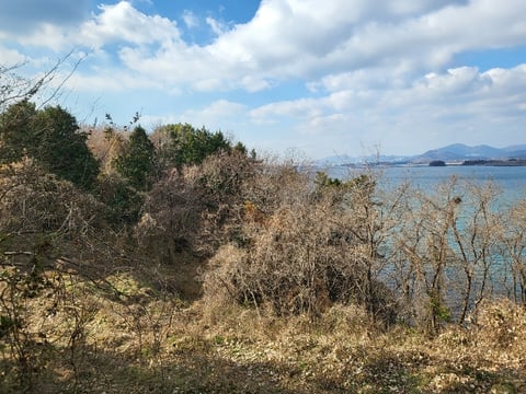 물건 사진 193
