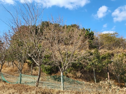 물건 사진 197