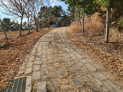 물건 사진 200