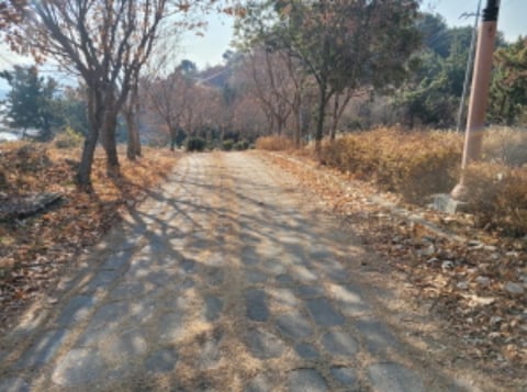 물건 사진 3