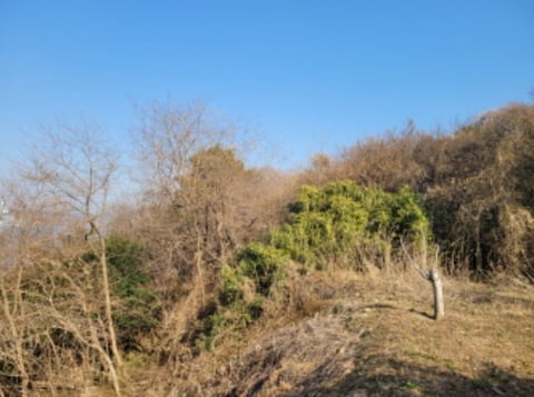 물건 사진 21