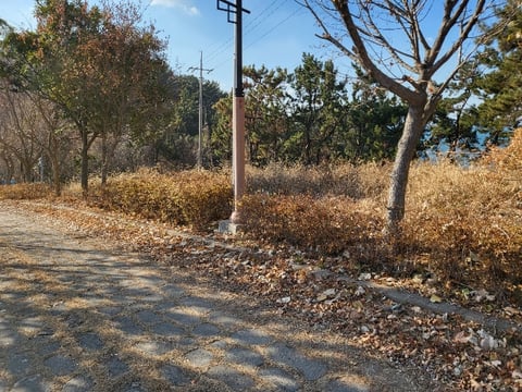 물건 사진 201