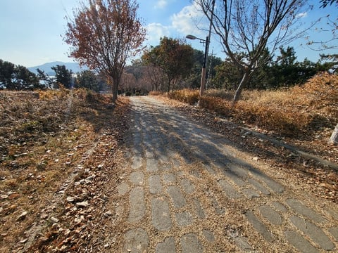 물건 사진 203