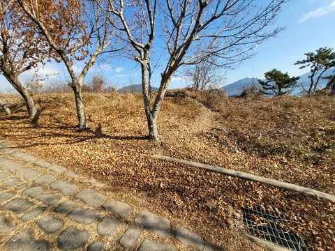 물건 사진 204