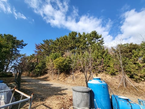물건 사진 205