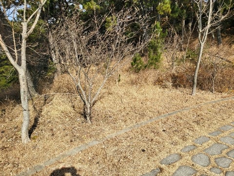 물건 사진 206