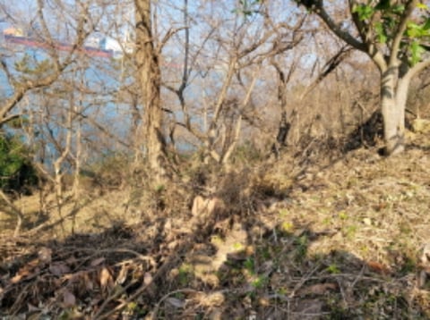 물건 사진 24