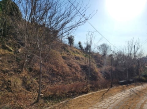 물건 사진 25