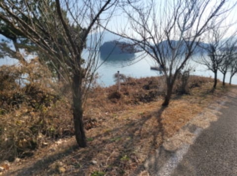 물건 사진 4