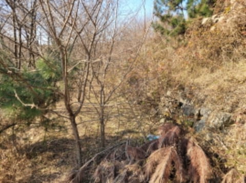 물건 사진 31