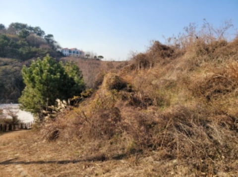 물건 사진 32