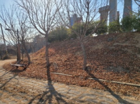 물건 사진 33